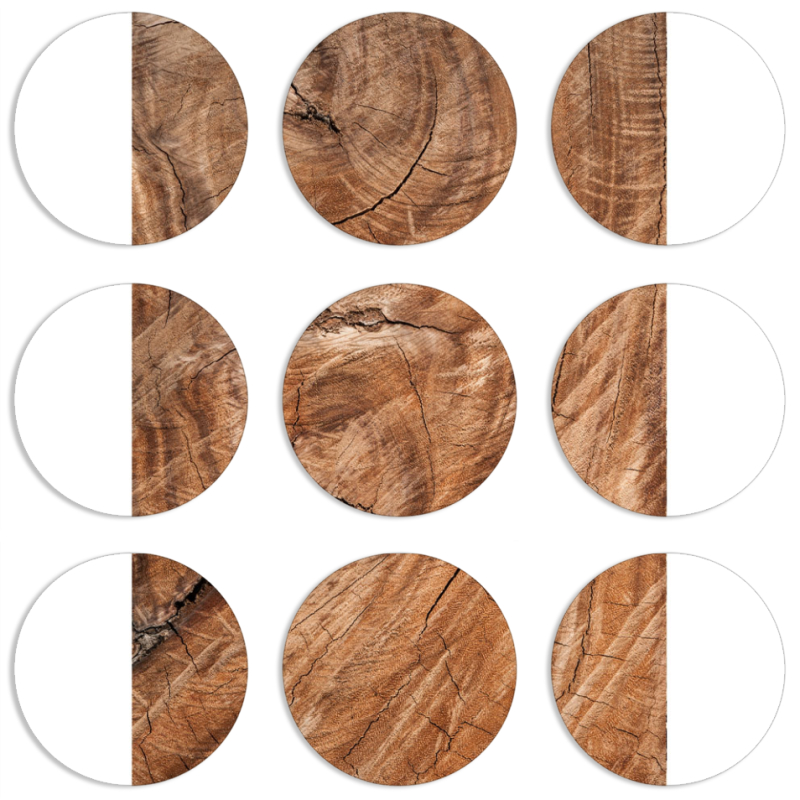 Магнитные фотопазлы круги d55 набор 9 штук 