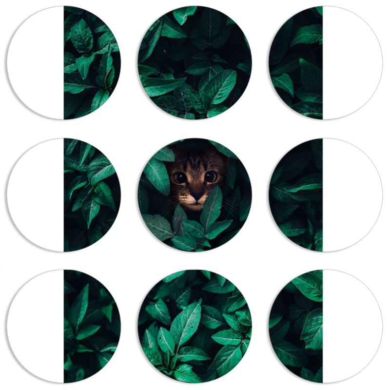 Магнитные фотопазлы круги d55 набор 9 штук 