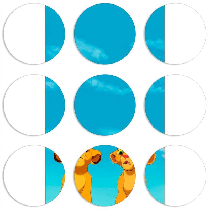 Магнитные фотопазлы круги d55 набор 9 штук 