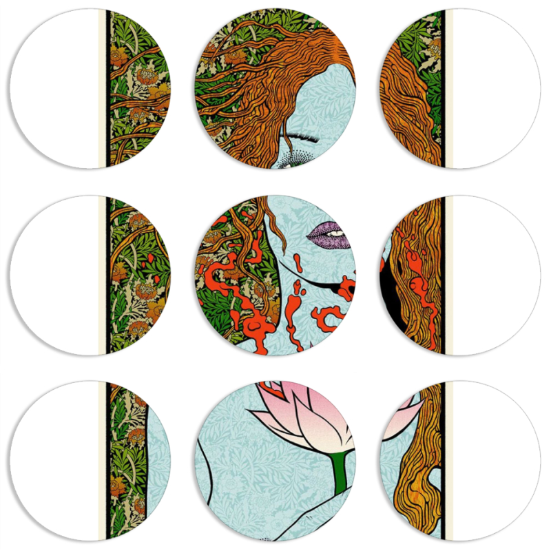 Магнитные фотопазлы круги d55 набор 9 штук 