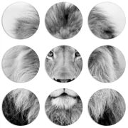 Магнитные фотопазлы круги d55 набор 9 штук 