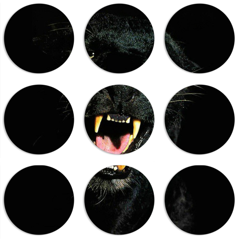 Магнитные фотопазлы круги d55 набор 9 штук 