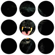 Магнитные фотопазлы круги d55 набор 9 штук 