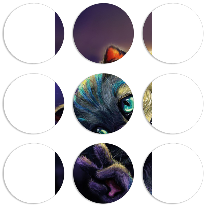 Магнитные фотопазлы круги d55 набор 9 штук Cheshire Cat