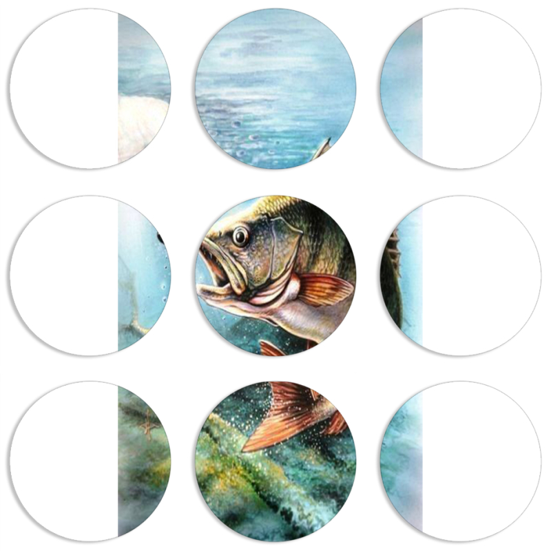 Магнитные фотопазлы круги d55 набор 9 штук Полосатый Бандит