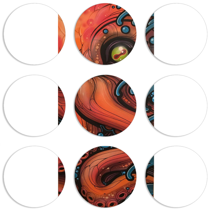 Магнитные фотопазлы круги d55 набор 9 штук Octopus