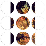 Магнитные фотопазлы круги d55 набор 9 штук 