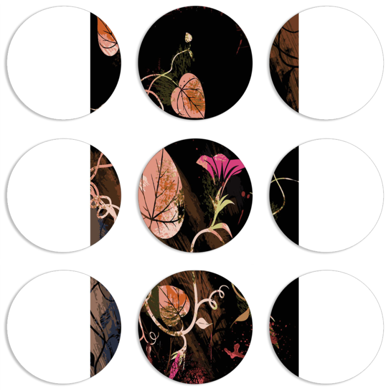 Магнитные фотопазлы круги d55 набор 9 штук 