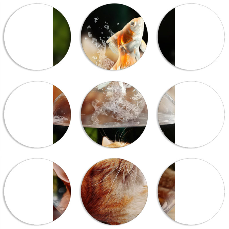 Магнитные фотопазлы круги d55 набор 9 штук 