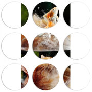 Магнитные фотопазлы круги d55 набор 9 штук 