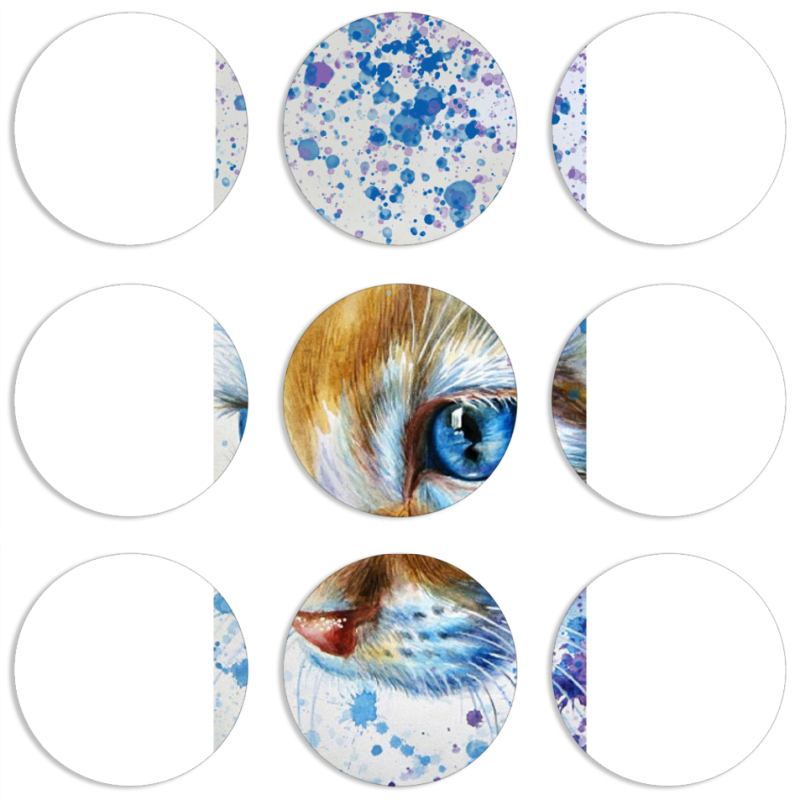 Магнитные фотопазлы круги d55 набор 9 штук Голубоглазый Кот
