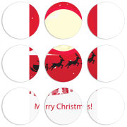 Магнитные фотопазлы круги d55 набор 9 штук 