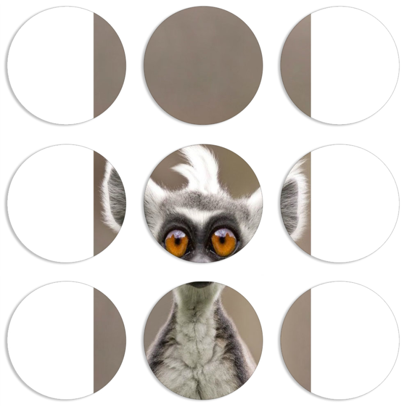 Магнитные фотопазлы круги d55 набор 9 штук 