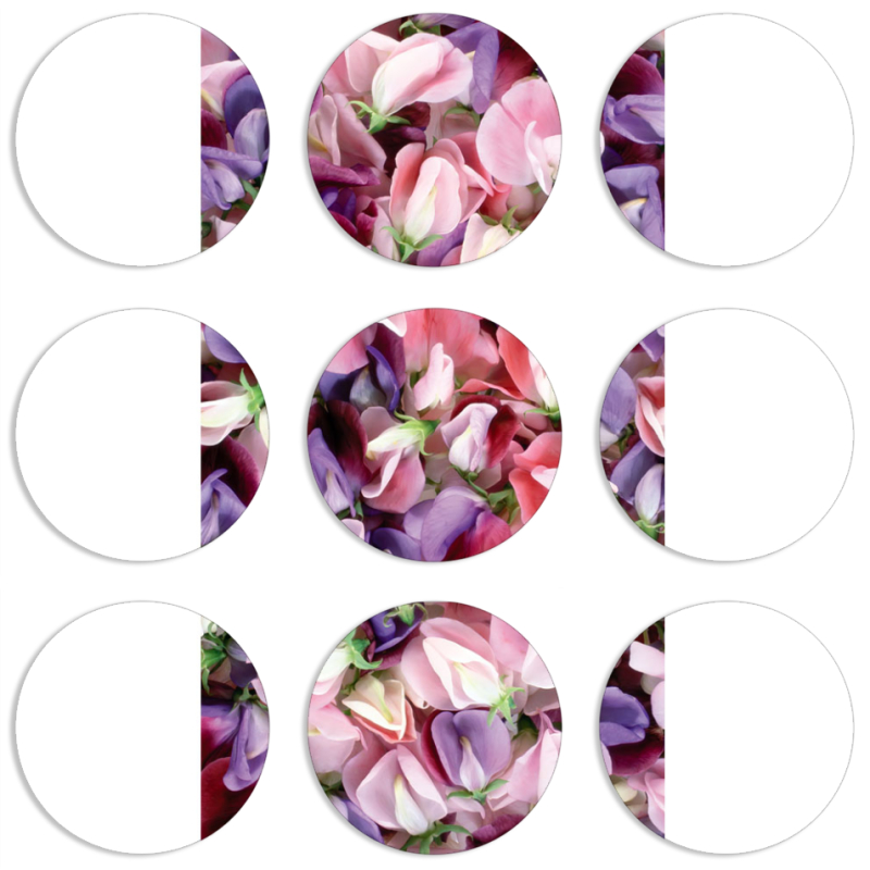 Магнитные фотопазлы круги d55 набор 9 штук 