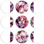 Магнитные фотопазлы круги d55 набор 9 штук 