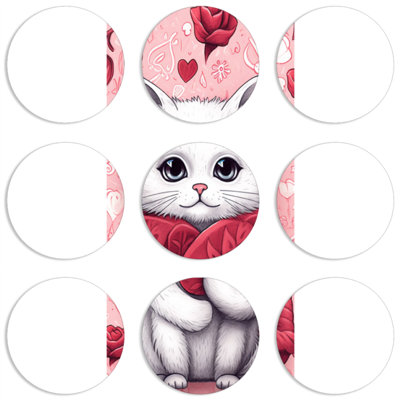 Магнитные фотопазлы круги d55 набор 9 штук 