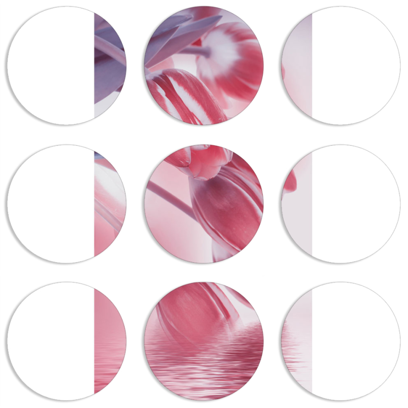 Магнитные фотопазлы круги d55 набор 9 штук 