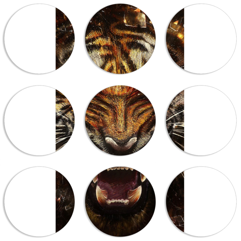 Магнитные фотопазлы круги d55 набор 9 штук 