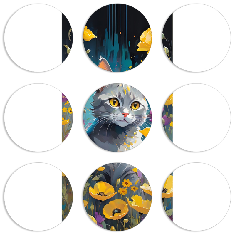 Магнитные фотопазлы круги d55 набор 9 штук 