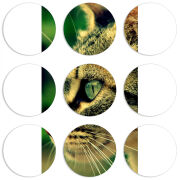 Магнитные фотопазлы круги d55 набор 9 штук 