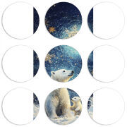 Магнитные фотопазлы круги d55 набор 9 штук Північні ведмеді