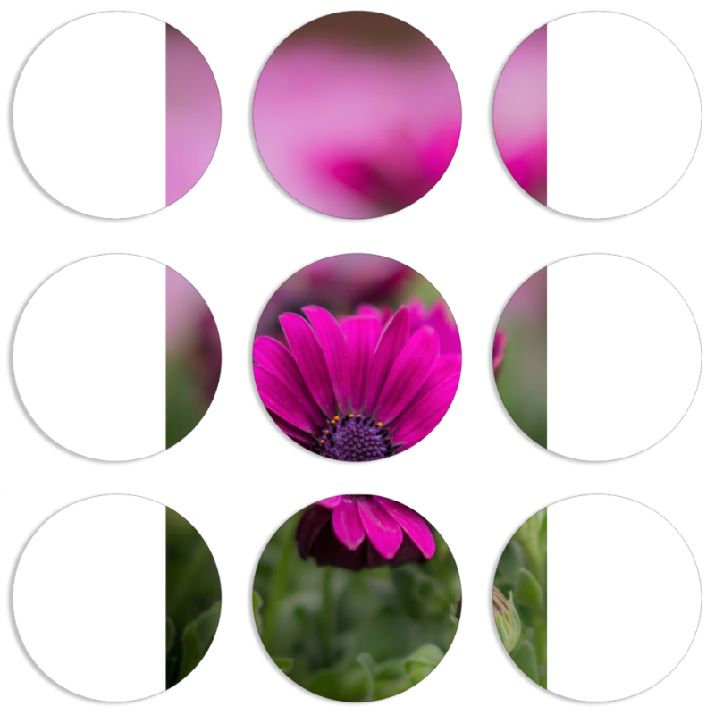 Магнитные фотопазлы круги d55 набор 9 штук 