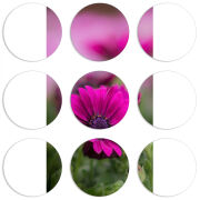 Магнитные фотопазлы круги d55 набор 9 штук 