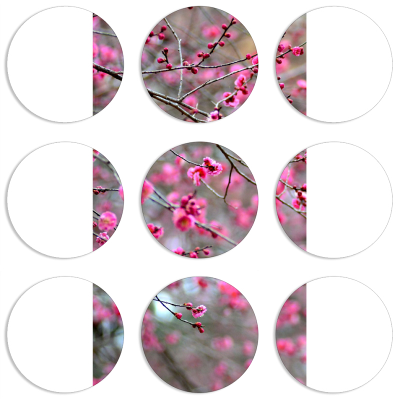 Магнитные фотопазлы круги d55 набор 9 штук 