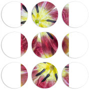 Магнитные фотопазлы круги d55 набор 9 штук 