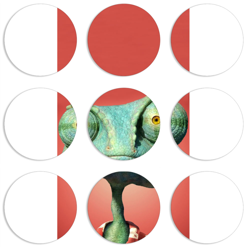 Магнитные фотопазлы круги d55 набор 9 штук 