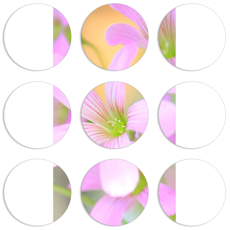 Магнитные фотопазлы круги d55 набор 9 штук 