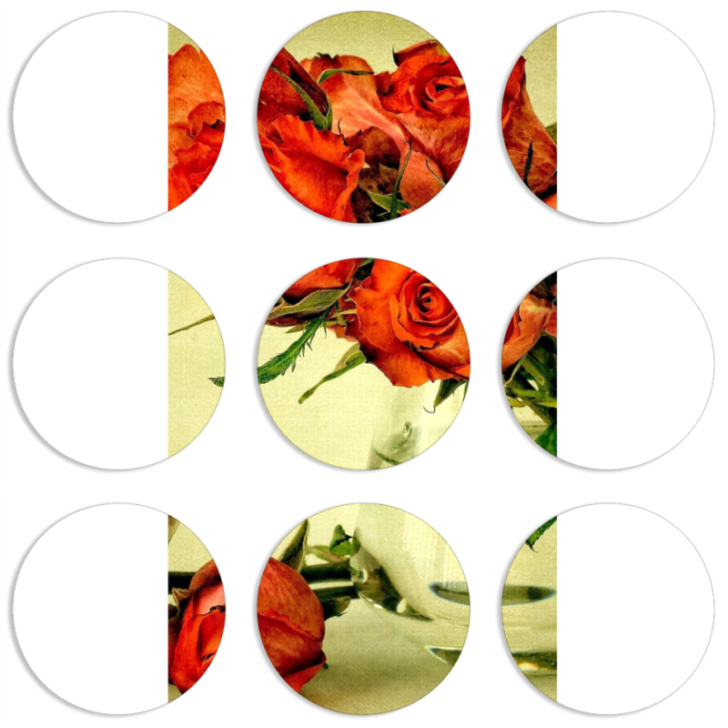 Магнитные фотопазлы круги d55 набор 9 штук 