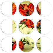 Магнитные фотопазлы круги d55 набор 9 штук 