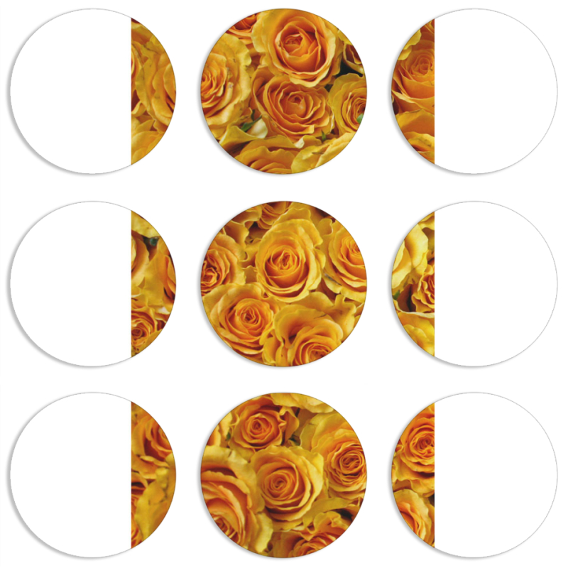 Магнитные фотопазлы круги d55 набор 9 штук 