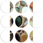 Магнитные фотопазлы круги d55 набор 9 штук 