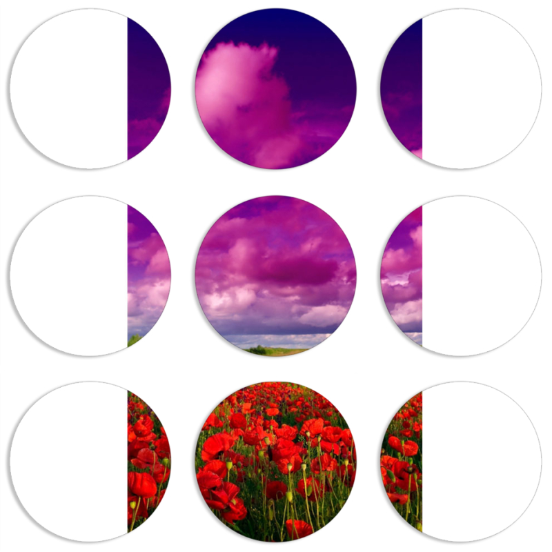 Магнитные фотопазлы круги d55 набор 9 штук 