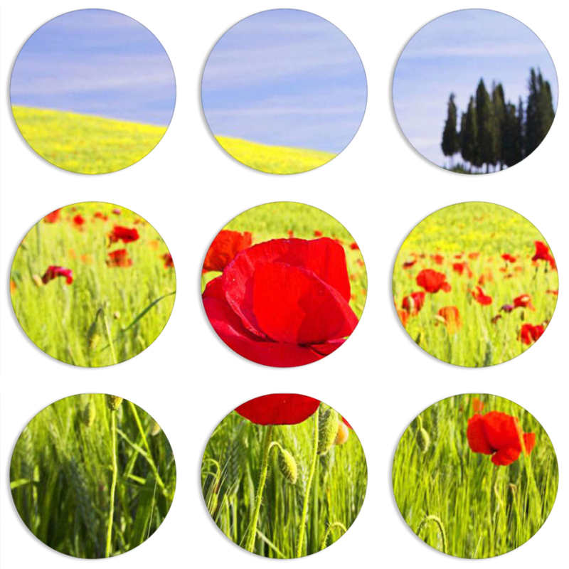 Магнитные фотопазлы круги d55 набор 9 штук Мак