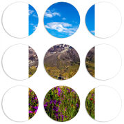 Магнитные фотопазлы круги d55 набор 9 штук 