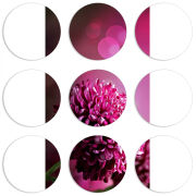 Магнитные фотопазлы круги d55 набор 9 штук 