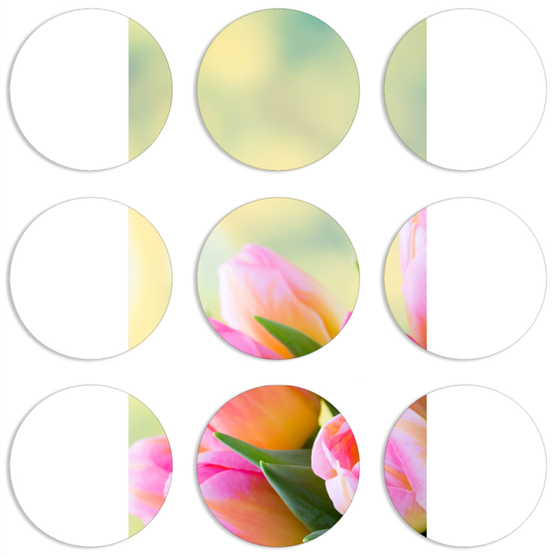 Магнитные фотопазлы круги d55 набор 9 штук Bouquet of Tulips