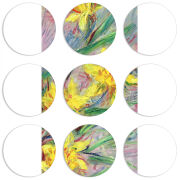 Магнитные фотопазлы круги d55 набор 9 штук 