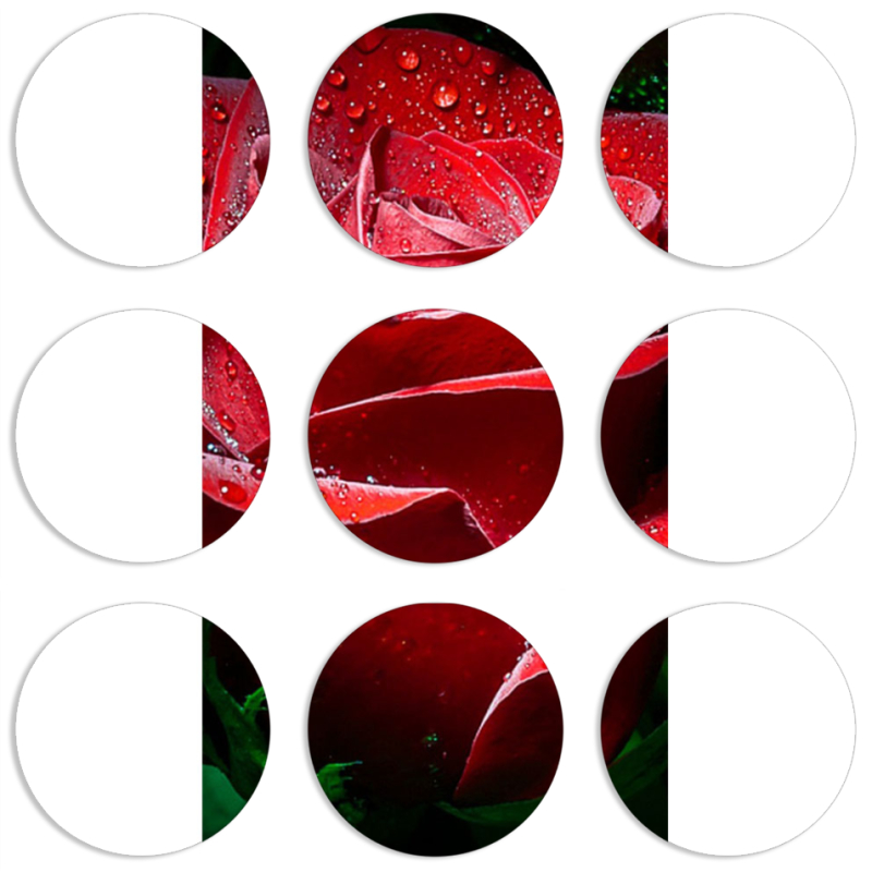 Магнитные фотопазлы круги d55 набор 9 штук 