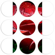 Магнитные фотопазлы круги d55 набор 9 штук 