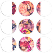 Магнитные фотопазлы круги d55 набор 9 штук 