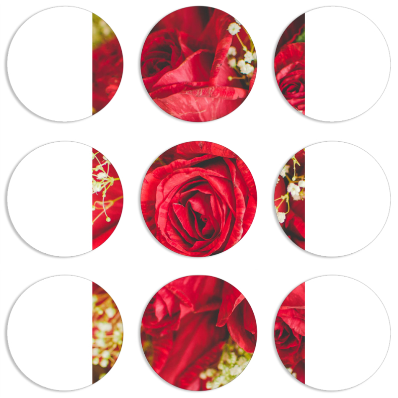 Магнитные фотопазлы круги d55 набор 9 штук 