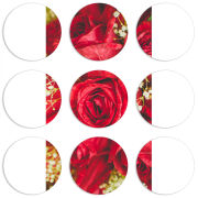 Магнитные фотопазлы круги d55 набор 9 штук 