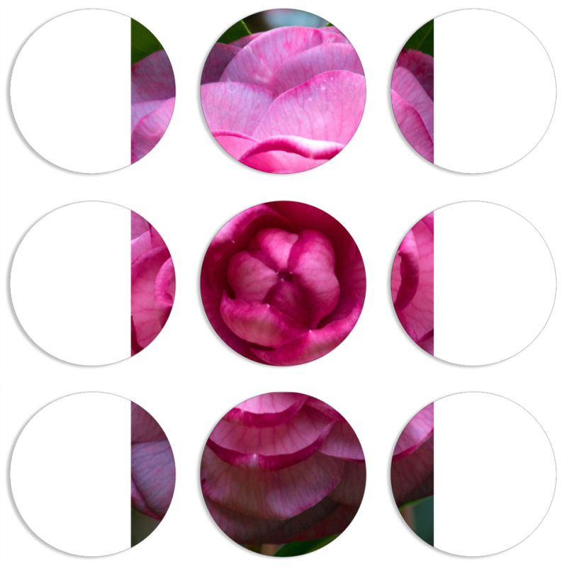 Магнитные фотопазлы круги d55 набор 9 штук 