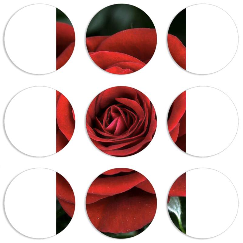 Магнитные фотопазлы круги d55 набор 9 штук 