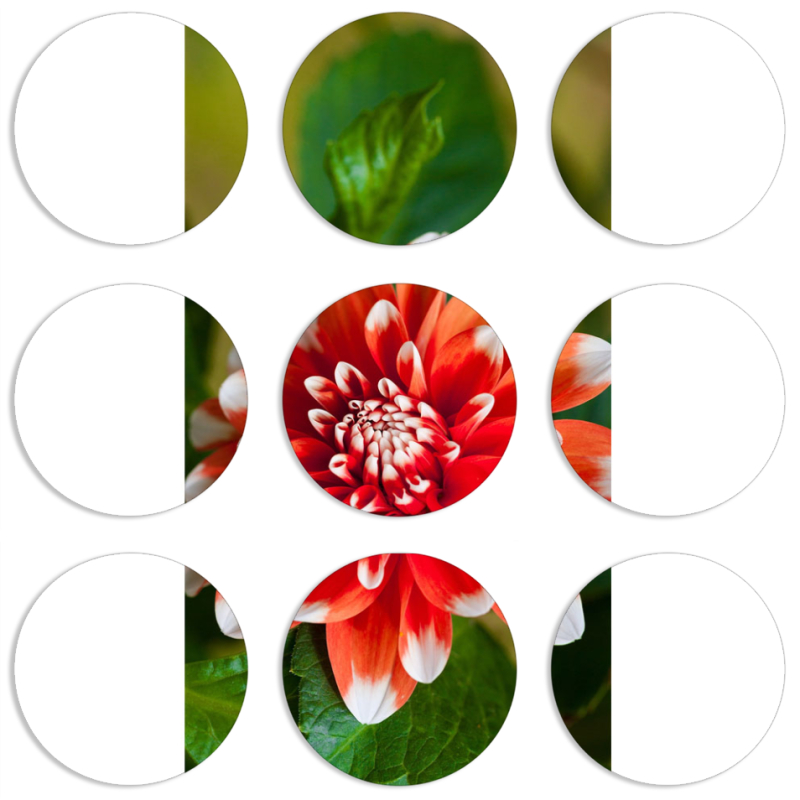 Магнитные фотопазлы круги d55 набор 9 штук 