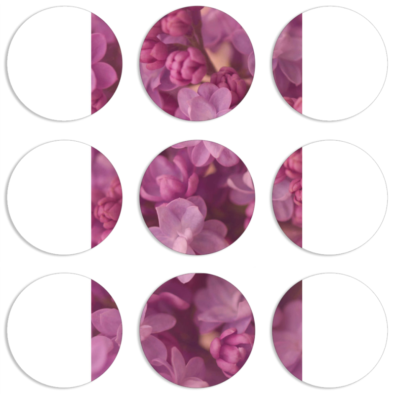 Магнитные фотопазлы круги d55 набор 9 штук 